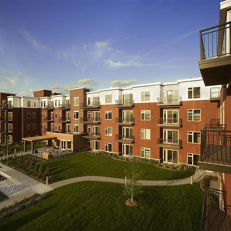 אדינה Execustay At York Place Apts מראה חיצוני תמונה