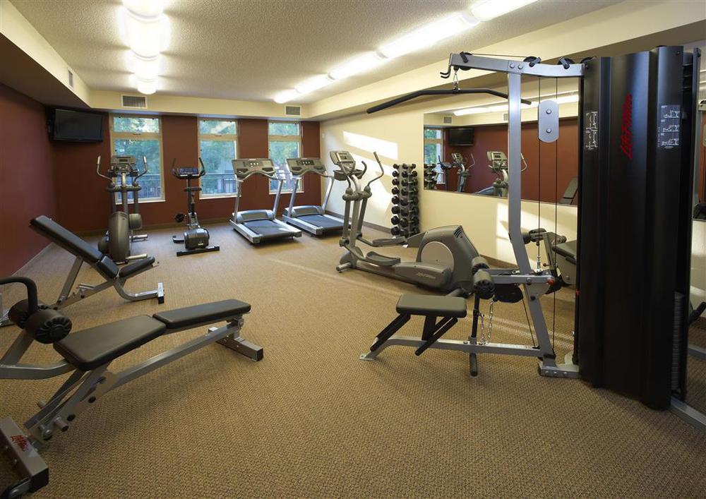 אדינה Execustay At York Place Apts מתקנים תמונה